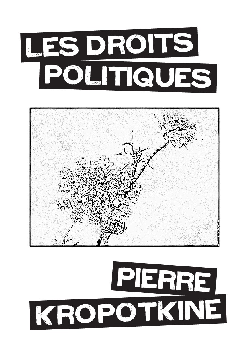 Les droits politiques